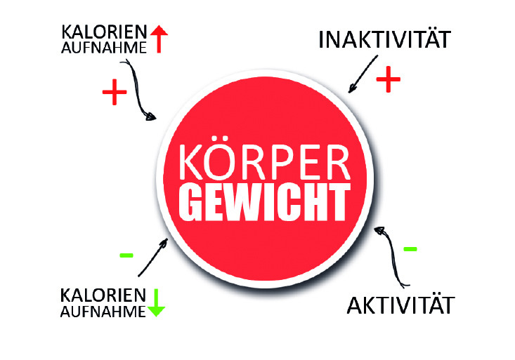media/image/GrafikaUkco4ZgEfm5E.jpg